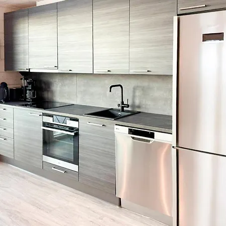 Rento Incl Wifi, Gas Grill, Sauna And Jacuzzi For Extra Fee * Himos